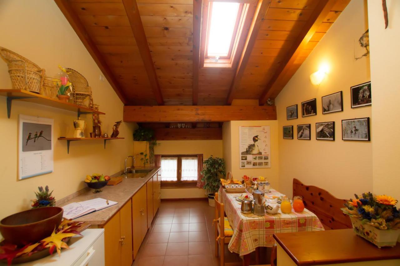 Guest House Il Nido Dello Svasso -Foresteria Lombarda- Sorico Bagian luar foto